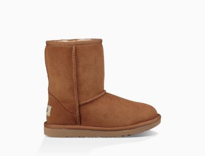 UGG Classic II Big Kids Boots Chestnut/ Brown - AU 591QW